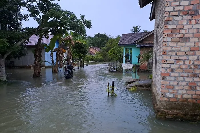 6 Kecamatan di Kabupaten Hulu Musi Rawas Utara, Sumsel Masih Terendam Banjir. (Dok. BPBD Hulu Musi Rawas Utara)
