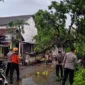 Tim gabungan dan relawan bekerja sama melakukan penanganan pohon tumbang terdampak angin kencang yang menerjang Desa Walidono, Kecamatan Prajekan, Kabupaten Bondowoso. (Dok. BPBD Kabupaten Bondowoso)