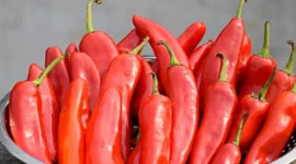 Satuan Tugas Pangan Polri Lakukan Cek Stok Bahan Secara Rutin. (Pixabay.com/balouriarajesh)