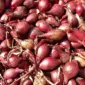 Harga Bawang Merah Mengalami Kenaikan. (Pixabay.com/Hans)