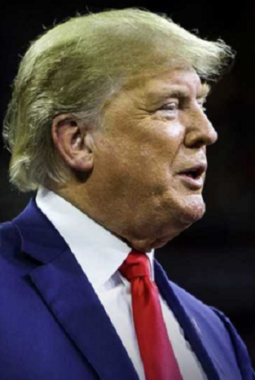 Penangguhan Pelarangan TikTok di Amerika Serikat Selama 90 Hari, Kemungkinan akan Diberikan Donald Trump